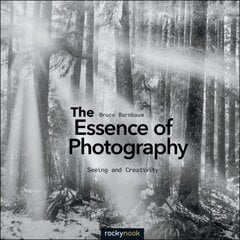 Essence of Photography цена и информация | Книги по фотографии | kaup24.ee