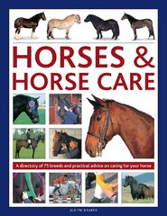 Horses & Horse Care: A directory of 75 breeds and practical advice on caring for your horse цена и информация | Книги о питании и здоровом образе жизни | kaup24.ee