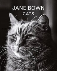 Jane Bown: Cats Main цена и информация | Книги о питании и здоровом образе жизни | kaup24.ee