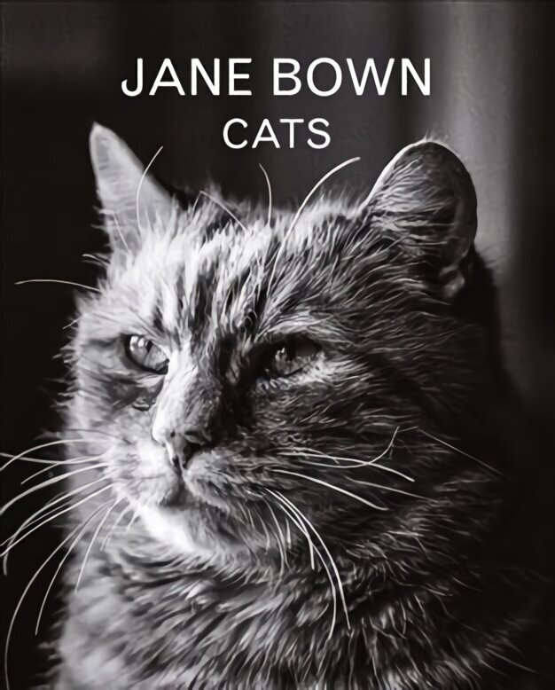 Jane Bown: Cats Main цена и информация | Tervislik eluviis ja toitumine | kaup24.ee