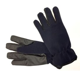 Детские перчатки от Hofler 181600 03, тёмно-синие, 181600*03-004 цена и информация | Шапки, перчатки, шарфы для мальчиков | kaup24.ee