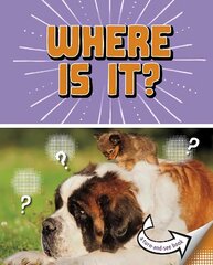 Where Is It?: A Turn-and-See Book hind ja info | Noortekirjandus | kaup24.ee