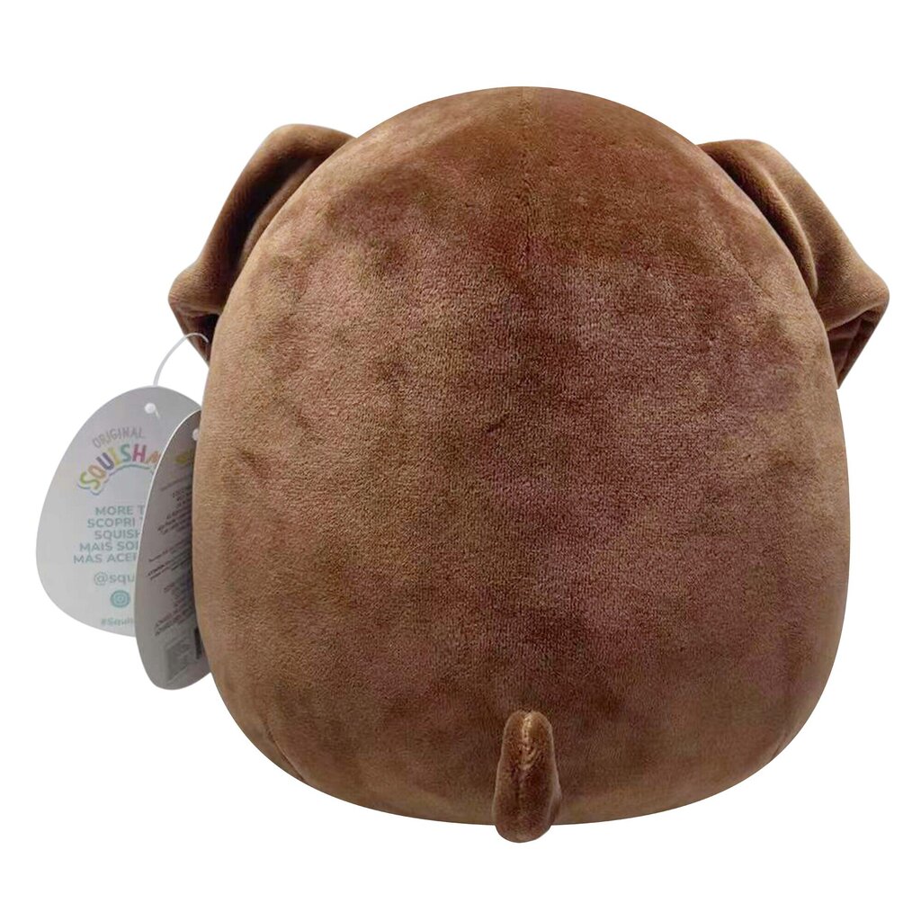 Plüüsist mänguasi Squishmallows Allina,19 cm hind ja info | Pehmed mänguasjad | kaup24.ee