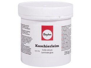 Liim Rayher PVC 250g цена и информация | Смягчает воду и защищает Вашу посудомоечную машину от извести. | kaup24.ee