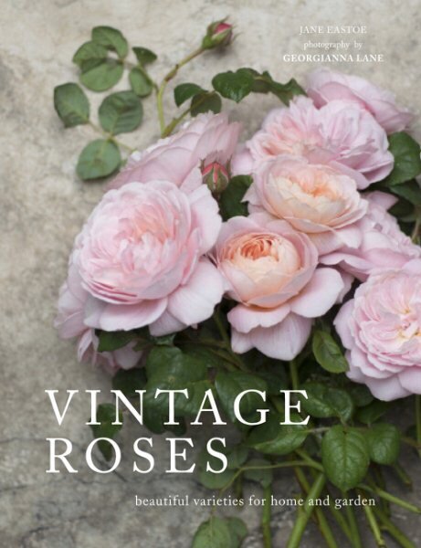 Vintage Roses: Beautiful varieties for home and garden hind ja info | Aiandusraamatud | kaup24.ee