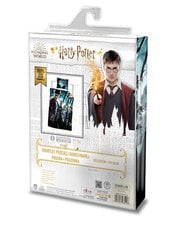 Laste voodipesukomplekt Harry Potter, 160x200, 2-osaline hind ja info | Beebide ja laste voodipesu | kaup24.ee