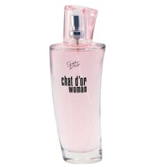 Parfüümvesi Chat D'or Woman Edp naistele, 100 ml hind ja info | Naiste parfüümid | kaup24.ee