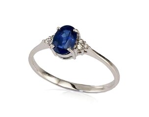 Kuldne teemantsõrmus naistele Diamond Sky "Grace" 585 valge kullaga DS00G428 hind ja info | Sõrmused | kaup24.ee