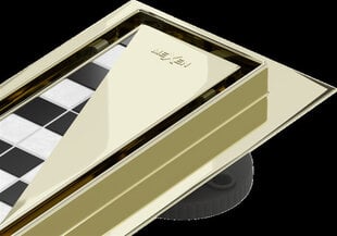 Dušipaneel Mexen Flat 2 in 1, Gold, 140 cm цена и информация | Душевые сливы | kaup24.ee