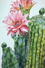 Numbrite järgi maalimine raamiga TM Varvikas - Blossoming cactus, 20x30 cm цена и информация | Живопись по номерам | kaup24.ee