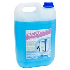 Klaasipuhastusvahend Ewol Glass Antistatic, 5L цена и информация | Очистители | kaup24.ee