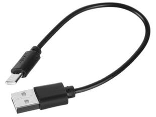 Плазменная USB электрическая зажигалка цена и информация | Зажигалки и аксессуары | kaup24.ee