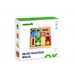 Набор деревянных многофункциональных блоков 12 штук, TOOKY TOY цена и информация | Игрушки для малышей | kaup24.ee