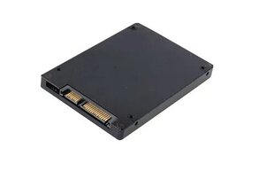 CoreParts P3-256T цена и информация | Внутренние жёсткие диски (HDD, SSD, Hybrid) | kaup24.ee