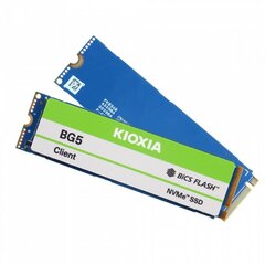 Kioxia BG5 (KBG50ZNV256G) hind ja info | Sisemised kõvakettad (HDD, SSD, Hybrid) | kaup24.ee