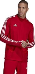 Jalgpallisärk meestele Adidas Tiro 19, punane цена и информация | Футбольная форма и другие товары | kaup24.ee