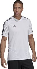 Jalgpallisärk meestele Adidas Tiro 19 TR JSY, valge цена и информация | Футбольная форма и другие товары | kaup24.ee