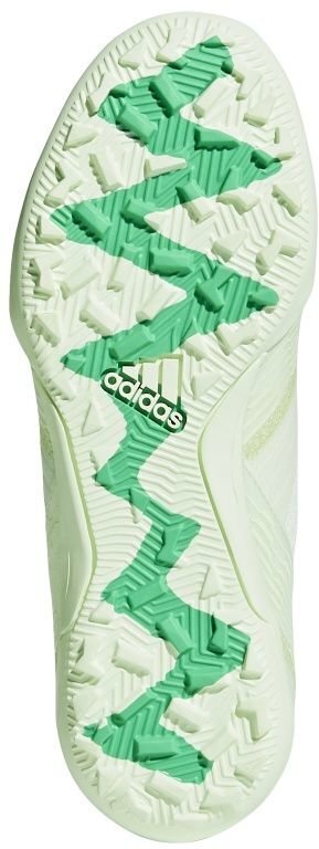 Jalgpallijalatsid Adidas Nemeziz Tango 17.3 TF Jr CP9240, roheline цена и информация | Jalgpallijalatsid | kaup24.ee