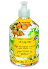 Lõhnastatud käte- ja kehapesuvahend L'Erbolario Frescaschiuma Agrumi, 490 ml hind ja info | Näopuhastusvahendid | kaup24.ee