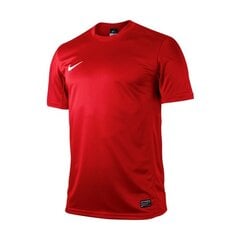 Nike T-särk meestele Park V JSY, punane цена и информация | Мужская спортивная одежда | kaup24.ee