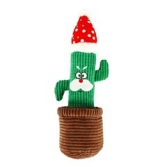 Mänguasi koertele Dingo Cactus Carlos, 34 cm цена и информация | Игрушки для собак | kaup24.ee