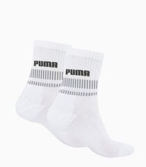 Sokid meestele Puma, valge, 2 tk hind ja info | Meeste sokid | kaup24.ee