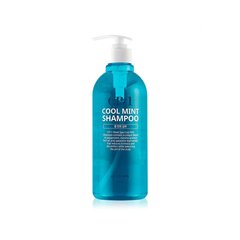 Piparmündi Šampoon Esthetic House CP-1 Head Spa Cool Mint, 500ml hind ja info | Šampoonid | kaup24.ee