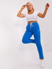 спортивные штаны rv-dr-8930.62 темно-синие цена и информация | Женские брюки | kaup24.ee