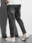 Püksid meestele Ombre P1057, hall hind ja info | Meeste püksid | kaup24.ee