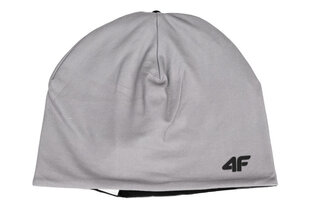 Müts 4F H4Z22 CAF005 25S hind ja info | Meeste sallid, mütsid ja kindad | kaup24.ee