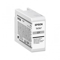 Epson Ink Gray T47A7 (C13T47A700) цена и информация | Картриджи для струйных принтеров | kaup24.ee