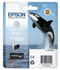 Epson Ink Light Light Black HC (C13T76094010) цена и информация | Картриджи для струйных принтеров | kaup24.ee