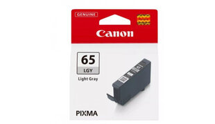 CLi-65 Light Grey 12.6 ml hind ja info | Tindiprinteri kassetid | kaup24.ee