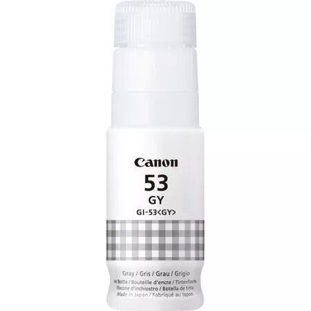 Canon GI-53 (4708C001) Grey 3.800 lk hind ja info | Tindiprinteri kassetid | kaup24.ee