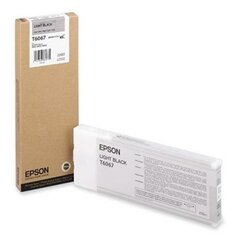 Epson Ink Light Black (C13T606700) цена и информация | Картриджи для струйных принтеров | kaup24.ee