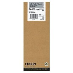 Epson Ink Light Light Black (C13T606900) цена и информация | Картриджи для струйных принтеров | kaup24.ee