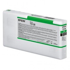 Epson T913B, (C13T913B00) cartridge green цена и информация | Картриджи для струйных принтеров | kaup24.ee