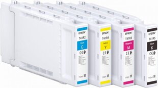Epson T41R5 (T41R540), cartridge цена и информация | Картриджи для струйных принтеров | kaup24.ee