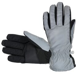 Детские лыжные перчатки Hofler 53643 01, серебряные/черные 53643*01-XL цена и информация | Шапки, перчатки, шарфы для мальчиков | kaup24.ee