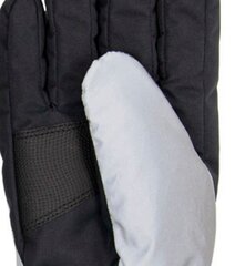 Мужские перчатки Hofler 51181 01, серебряные/черные, 51181*01-009 цена и информация | Шапки, перчатки, шарфы для мальчиков | kaup24.ee