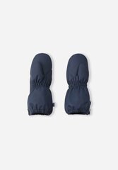 Reima детские варежки 180g Tassu 5300115A*6980, синий  цена и информация | Шапки, перчатки, шарфы для мальчиков | kaup24.ee
