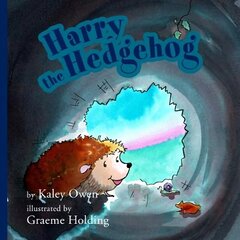 Harry the Hedgehog цена и информация | Книги для малышей | kaup24.ee