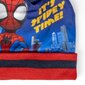 Müts ja kindad Spiderman hind ja info | Poiste mütsid, sallid, kindad | kaup24.ee