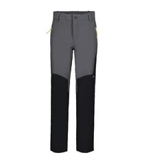 Детские брюки софтшелл Icepeak Kuttawa, серый цена и информация | Шорты для мальчиков | kaup24.ee