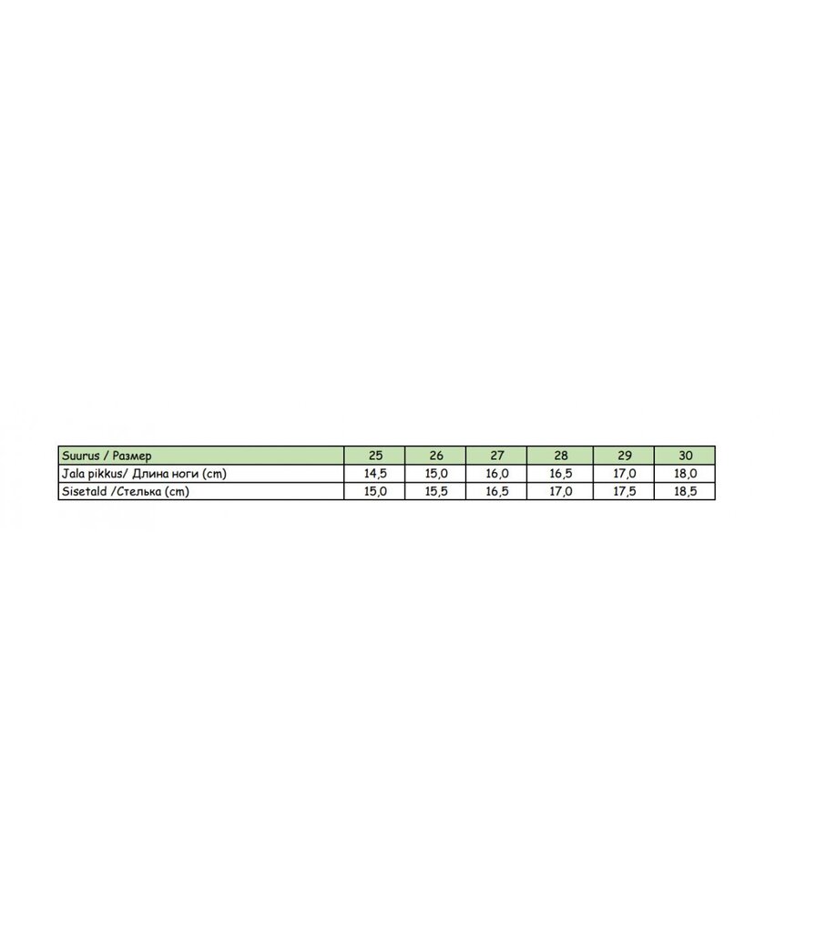 Tennised lastele 171403 01, valge/valge 171403*01-030 hind ja info | Laste spordijalatsid | kaup24.ee