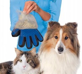 Parema ja vasaku käe kinnas koerakarvade harjamiseks hind ja info | Hooldusvahendid loomadele | kaup24.ee