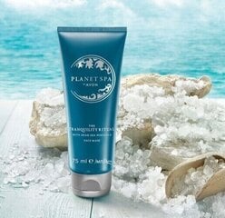 Маска для лица Planet Spa с минералами Мертвого моря, 75 мл, Avon цена и информация | Маски для лица, патчи для глаз | kaup24.ee