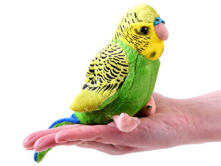 Плюшевый волнистый попугай, 13 см, зеленый цена и информация | Мягкие игрушки | kaup24.ee