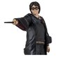 Figuur McFarlane Harry Potter 15 cm цена и информация | Poiste mänguasjad | kaup24.ee