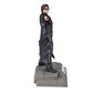 Figuur McFarlane Harry Potter 15 cm hind ja info | Poiste mänguasjad | kaup24.ee